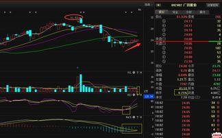 广田股份爆料信息最新,揭秘公司战略布局与市场动向